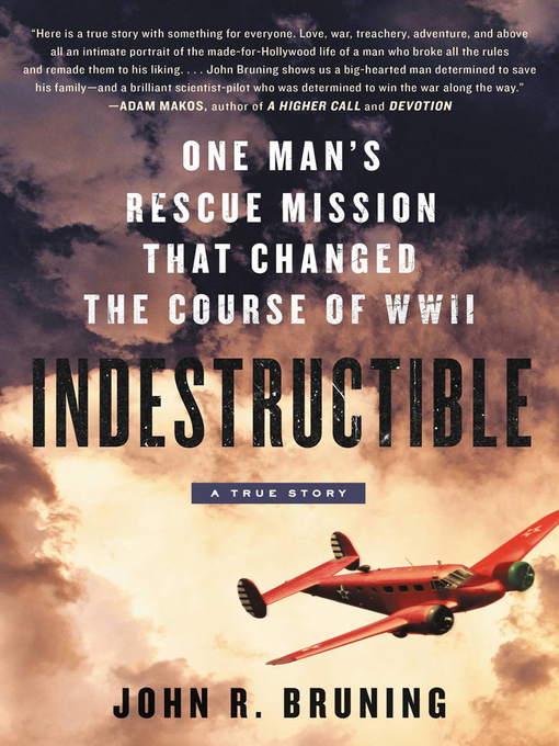 Cover image for Indestructible